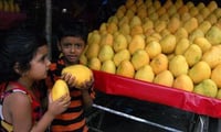90% of Hyderabad’s Mangoes Contaminated?